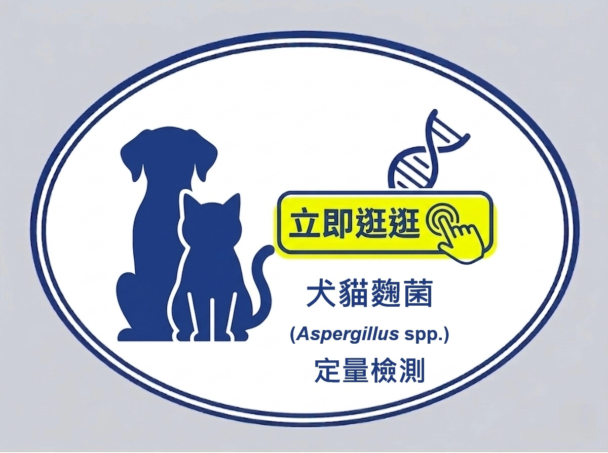 犬貓麴菌(Aspergillus spp.)PCR定量檢測