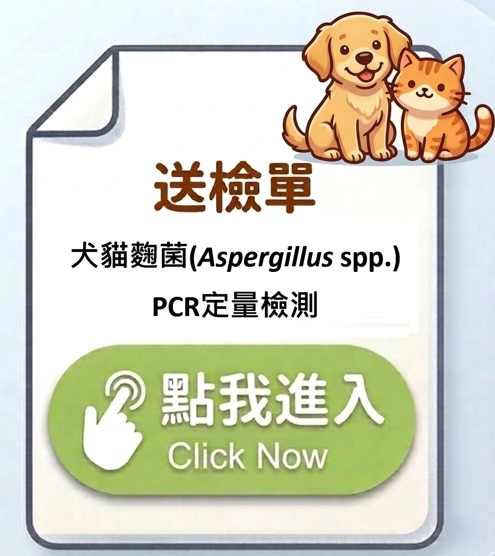 送檢單_犬貓麴菌(Aspergillus spp.)PCR定量檢測