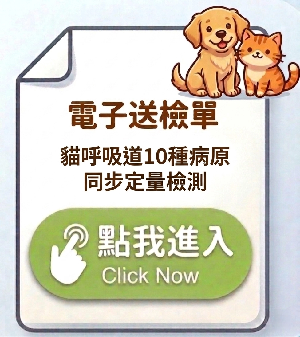 貓呼吸道10種病原專利同步定量檢測附免費抗生素試驗的檢體送檢單