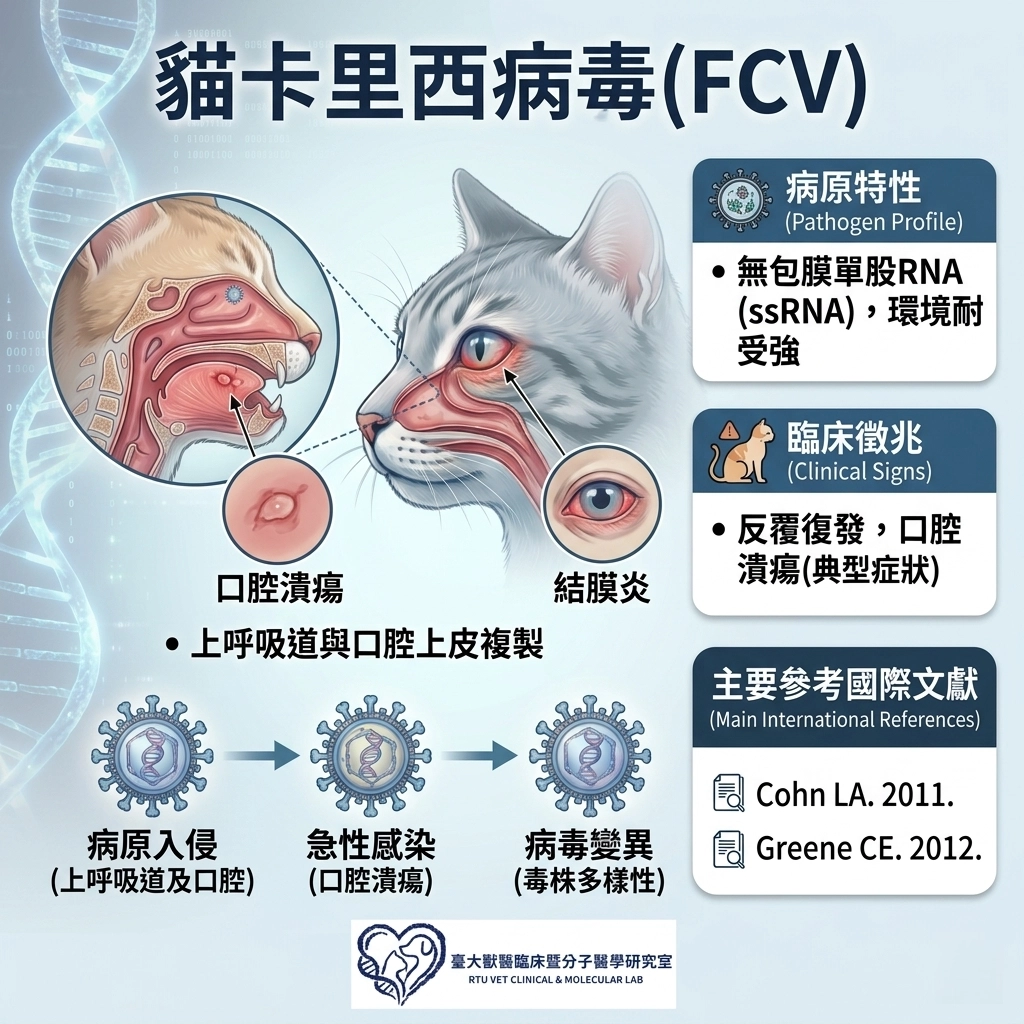 貓卡里西病毒FCV 國際文獻整理延伸閱讀