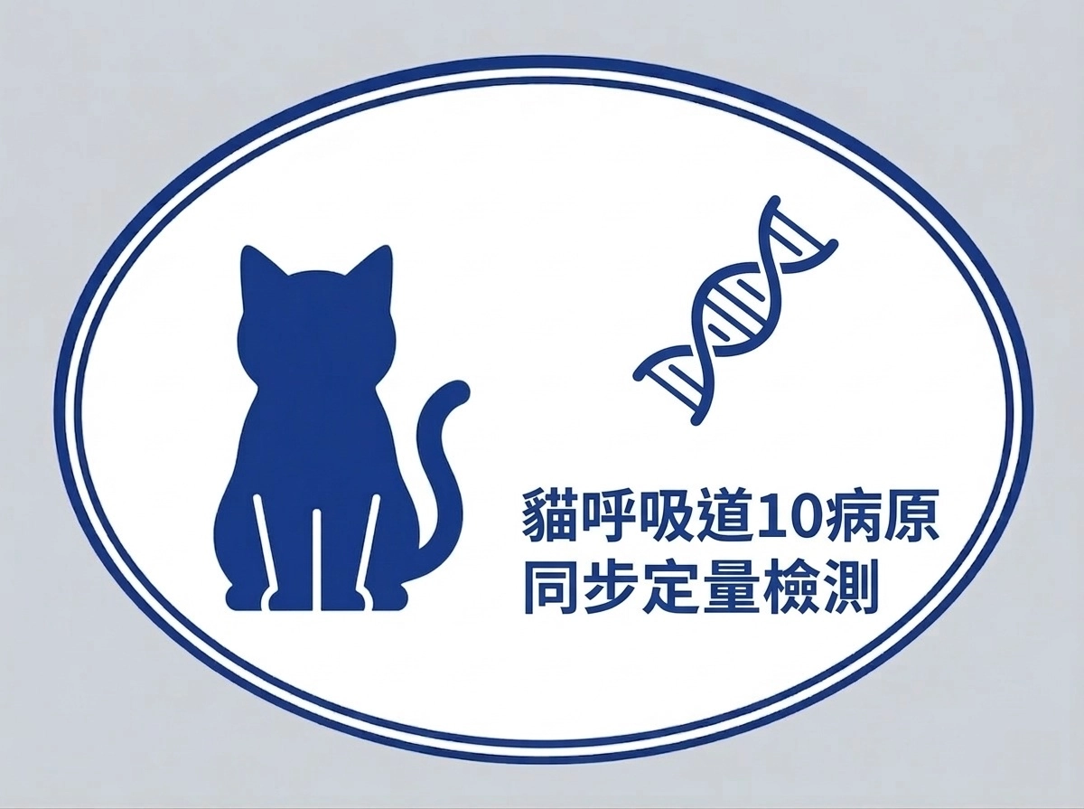 貓呼吸道10病原同步定量檢測附免費藥敏