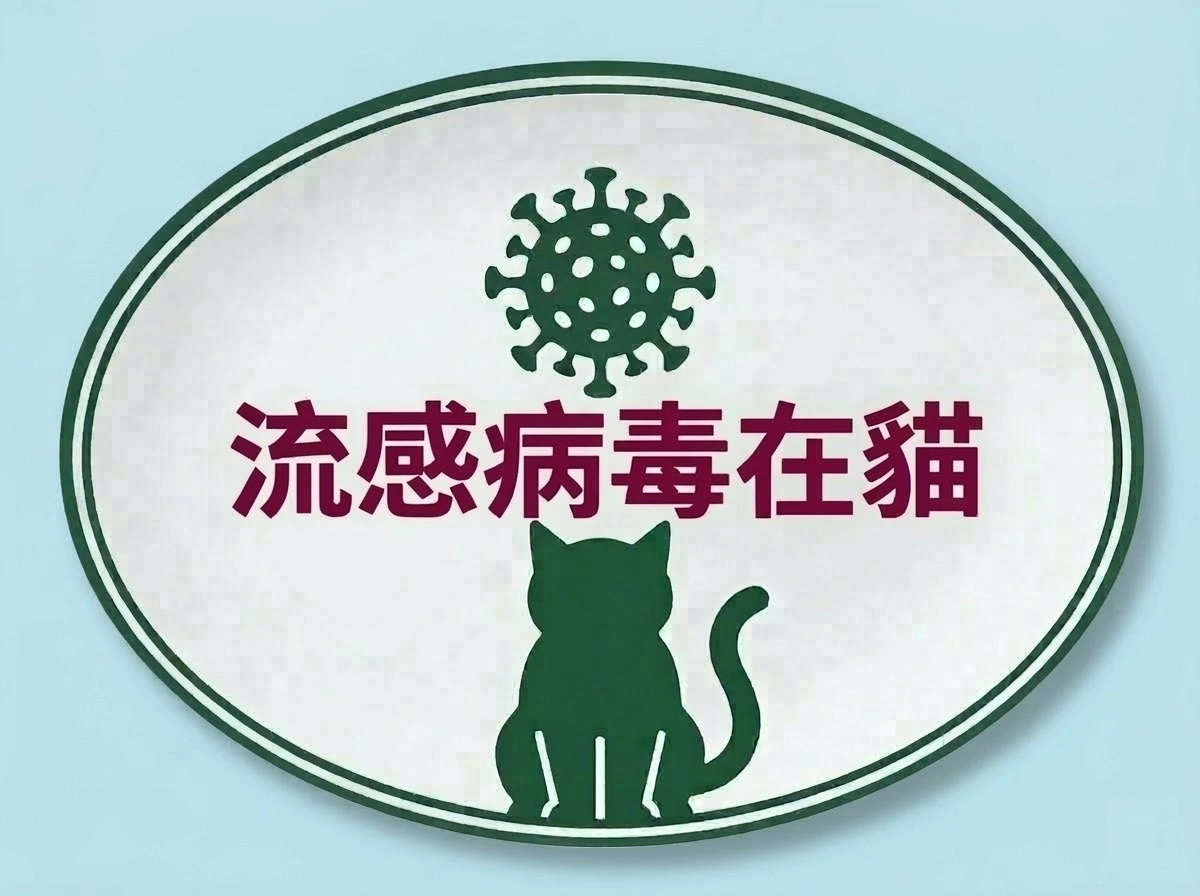 流行性感冒病毒在貓