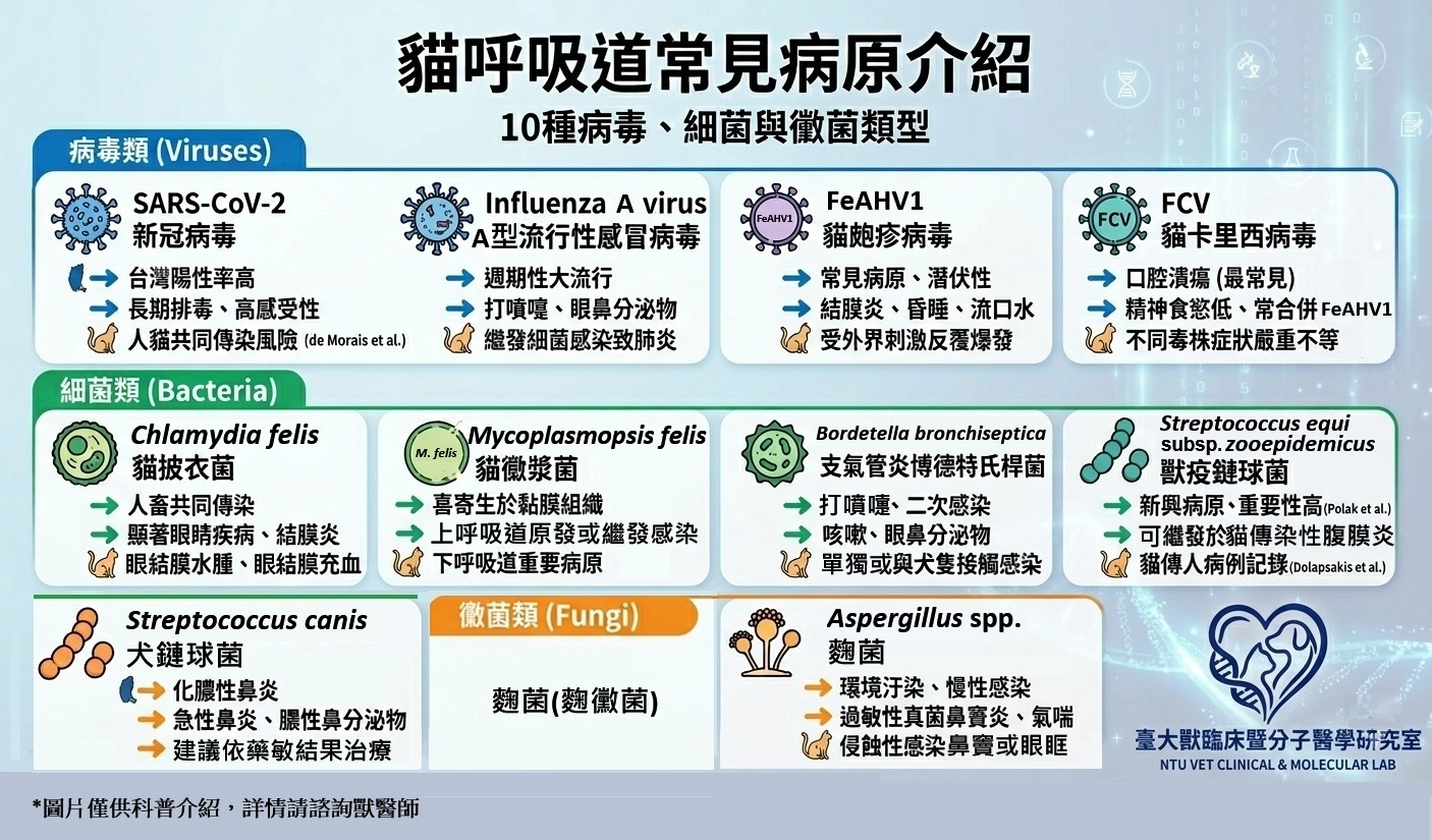 貓10呼吸道病原介紹