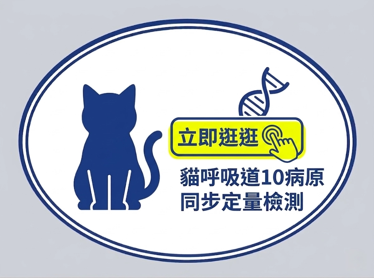 貓呼吸道10病原同步檢測服務，含貓皰疹病毒定量檢測，報告包括病原量與疾病嚴重度對照表，與最新國際科學文獻用藥建議